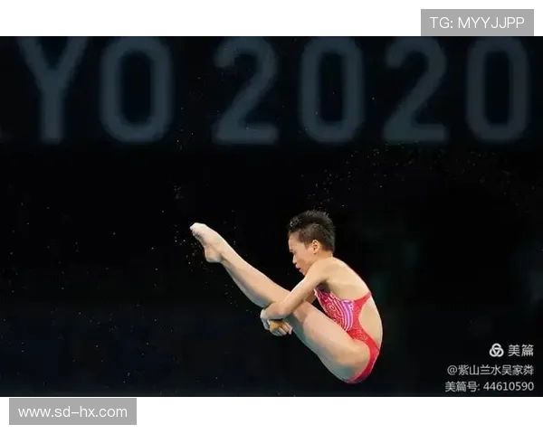 世界跳水冠军的成长之路与背后鲜为人知的艰辛训练故事